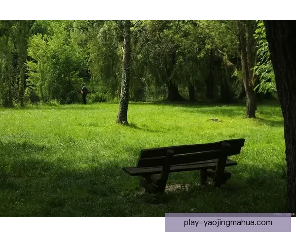 伊人网青青草：重拾那份青涩的美好，拥抱内心的柔软